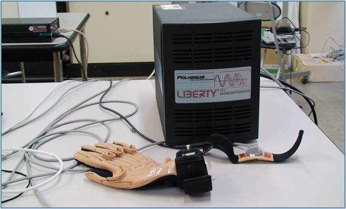 Liberty 写真